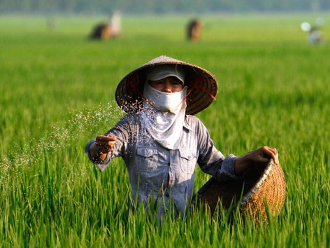 Kích Thích Sinh Trưởng & Phân Bón Vi Lượng: