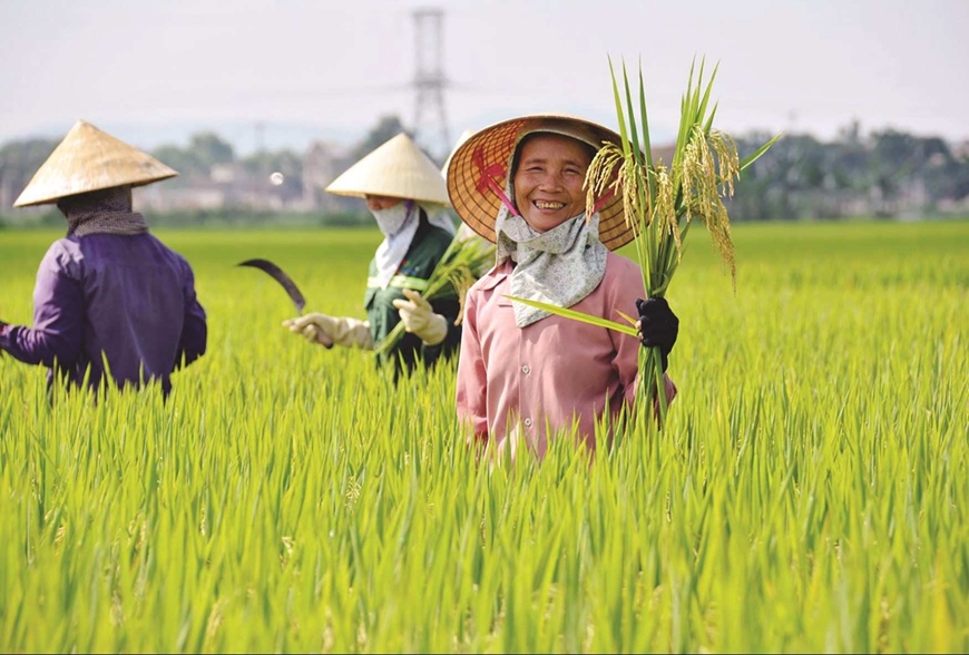 Nông Dược FUTA mang đến điều gì cho khách hàng