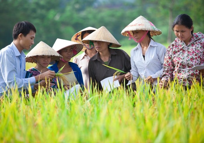 Cam kết an toàn & Bền vững